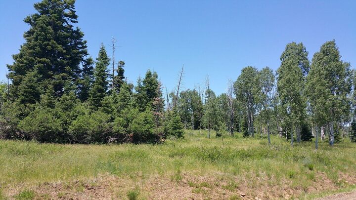 Property Photo:  271 N Whispering Pines Rd  UT 84779 