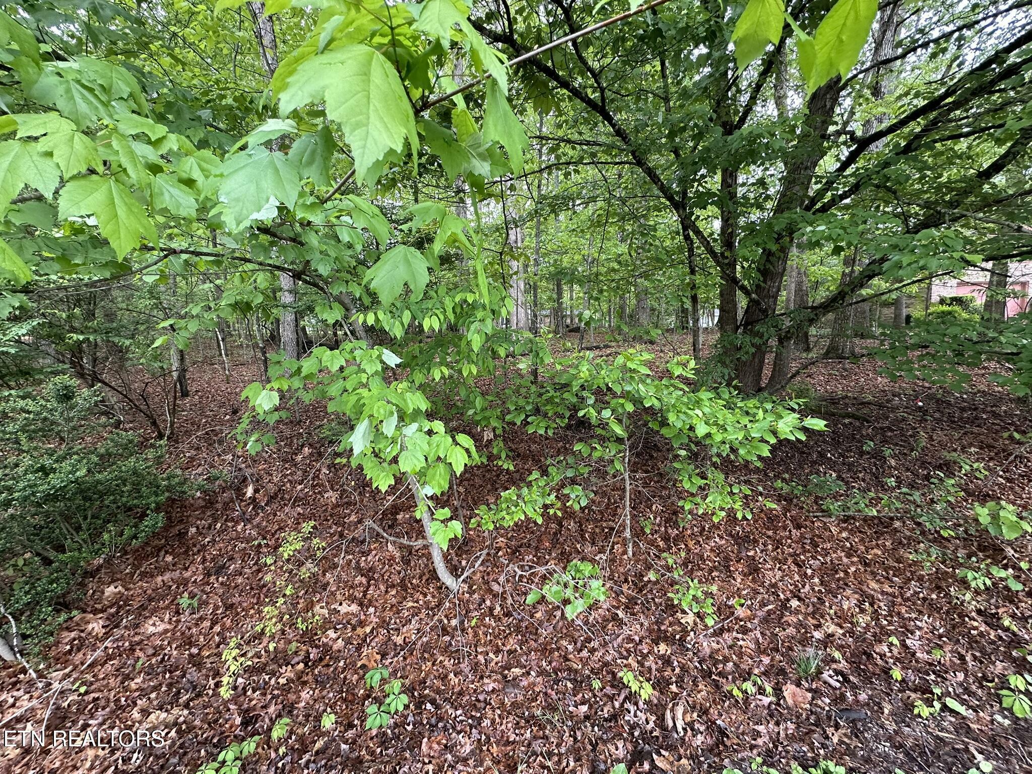 Property Photo: 114 & 116 Shore Lane TN 38558
