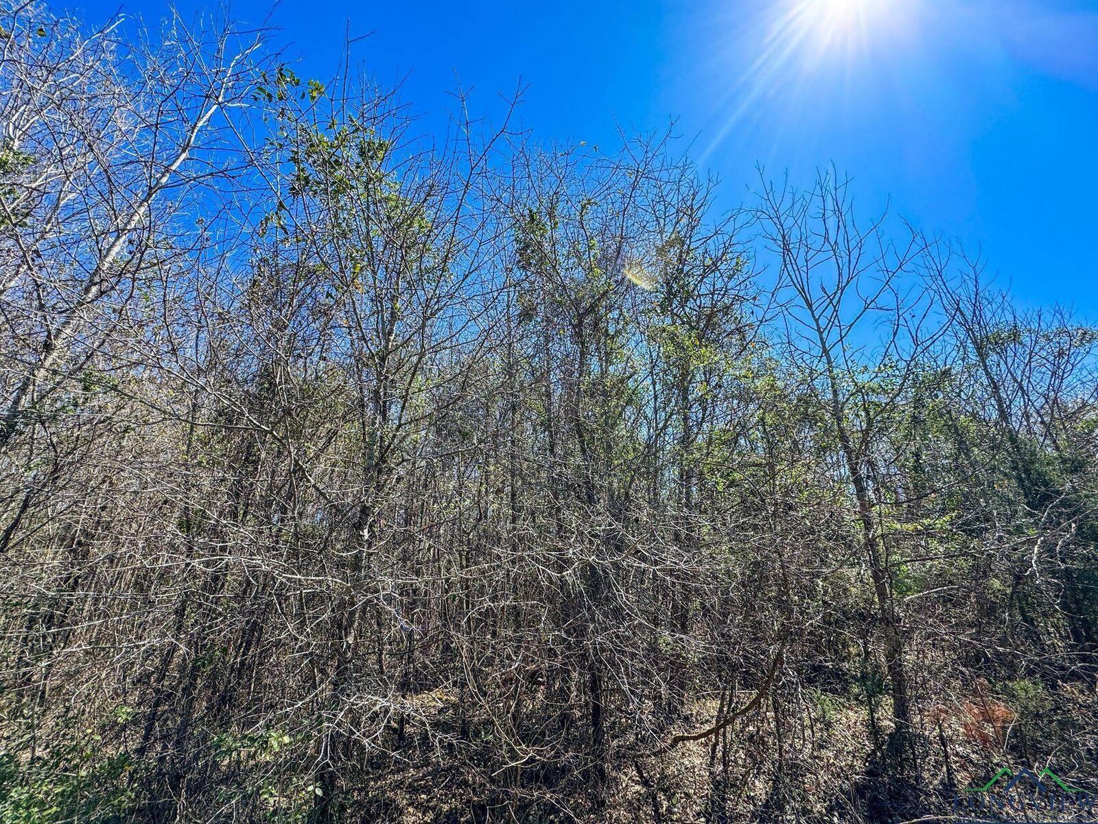 Property Photo:  0000 Cr 1244  TX 75563 