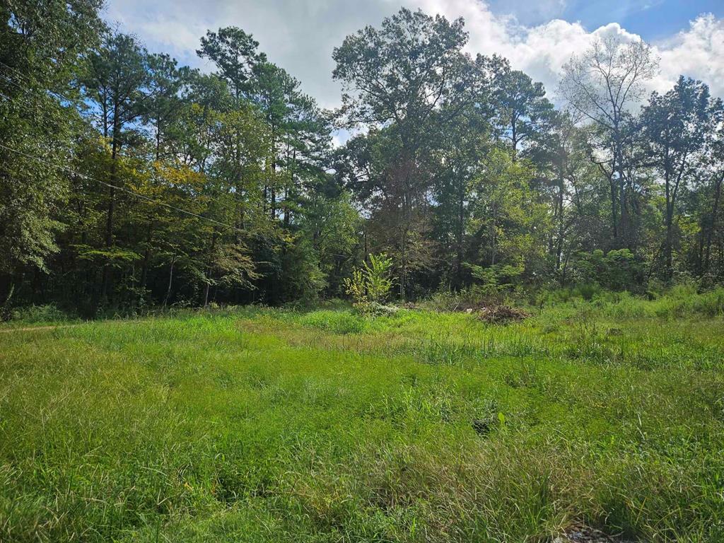 Property Photo:  245 Red Cedar Lane  TX 75949 