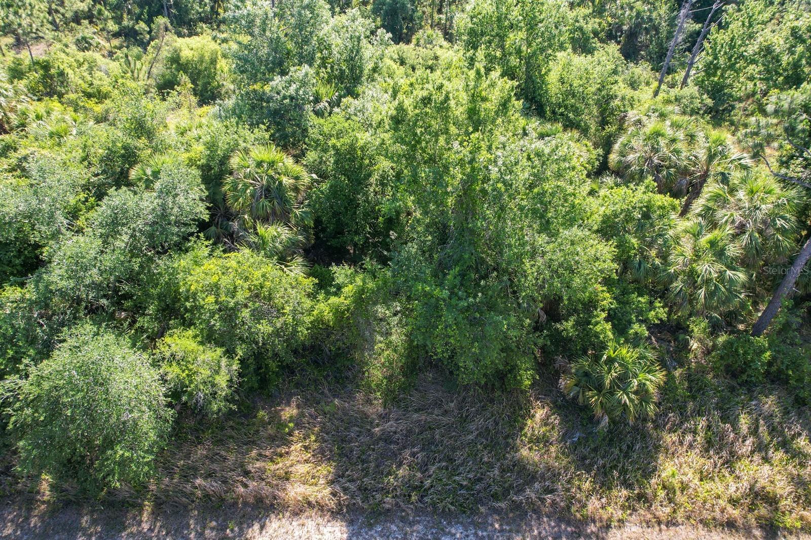 Property Photo:  Hamerton Road  FL 34288 