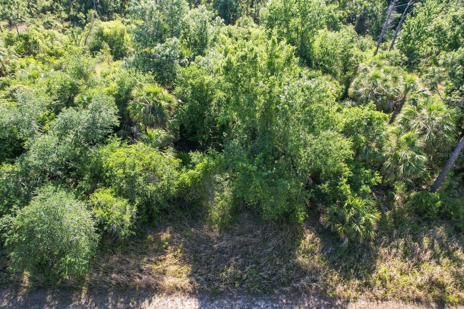 Property Photo:  Hamerton Road  FL 34288 