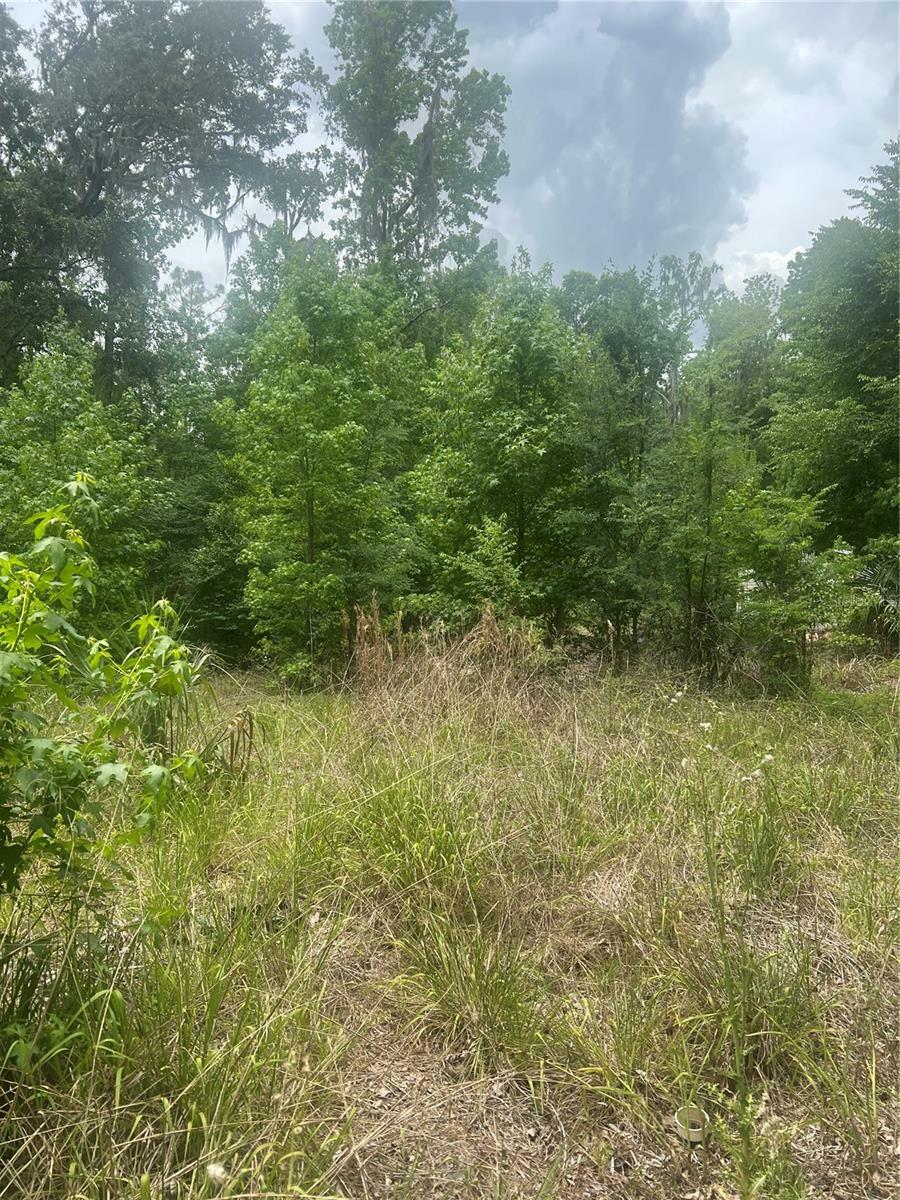Property Photo: 2614 Cr 412 FL 33538