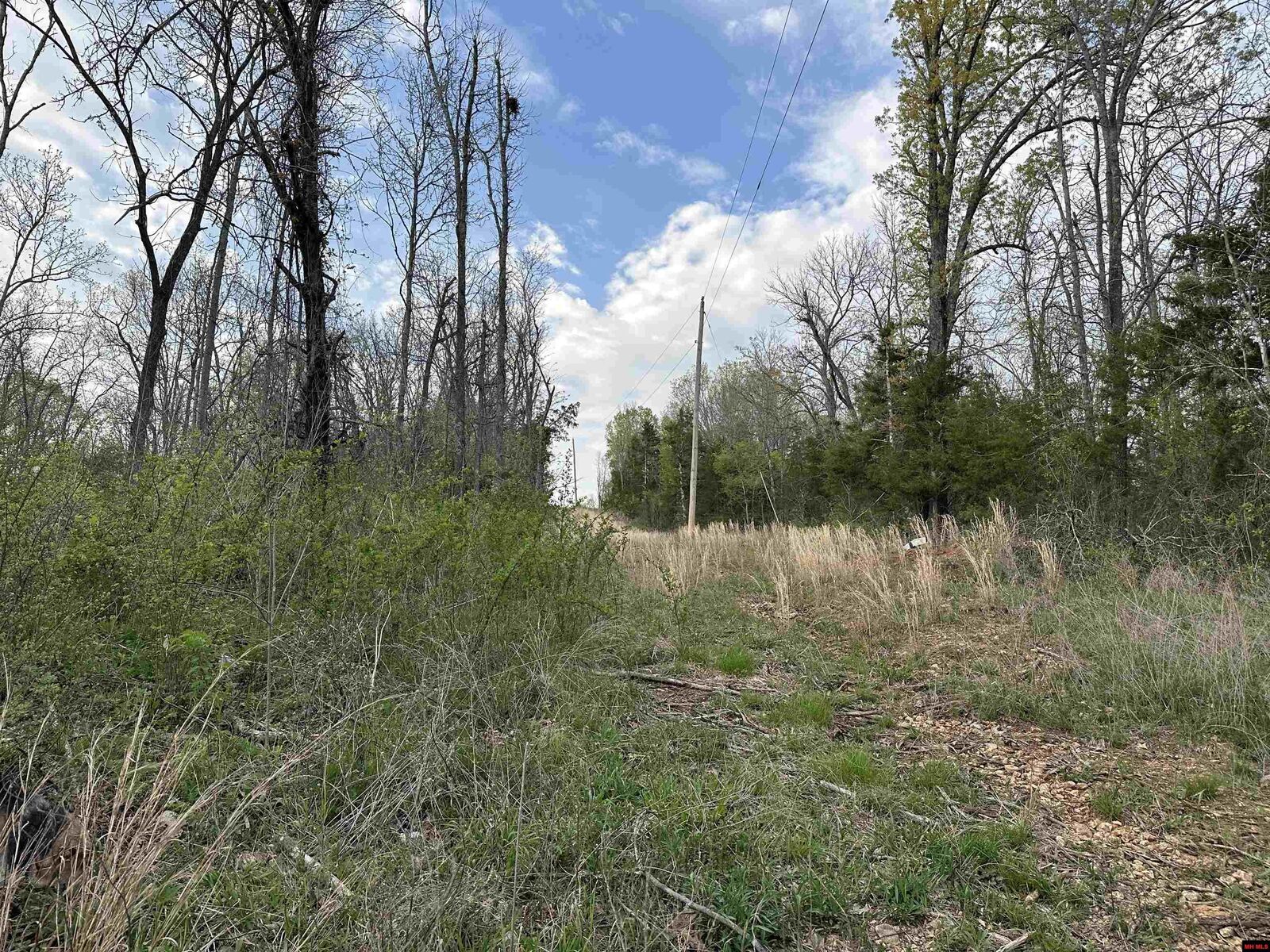 Property Photo: 188 Oregon Trail AR 72672