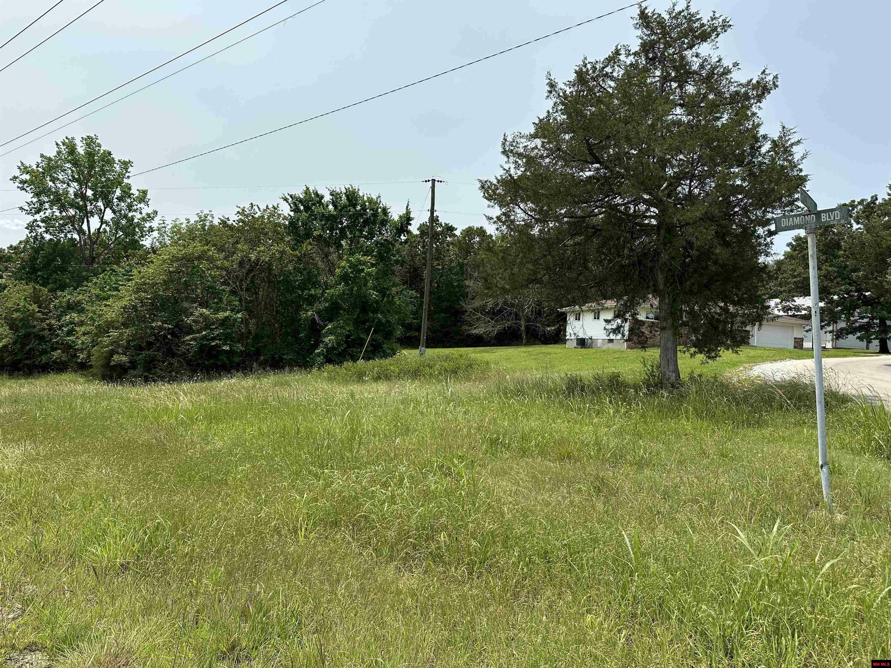 Property Photo: 775-00832-000 Somonauk Drive AR 72630