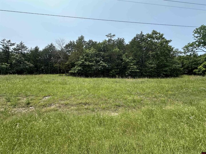 Property Photo:  775-00832-000 Somonauk Drive  AR 72630 