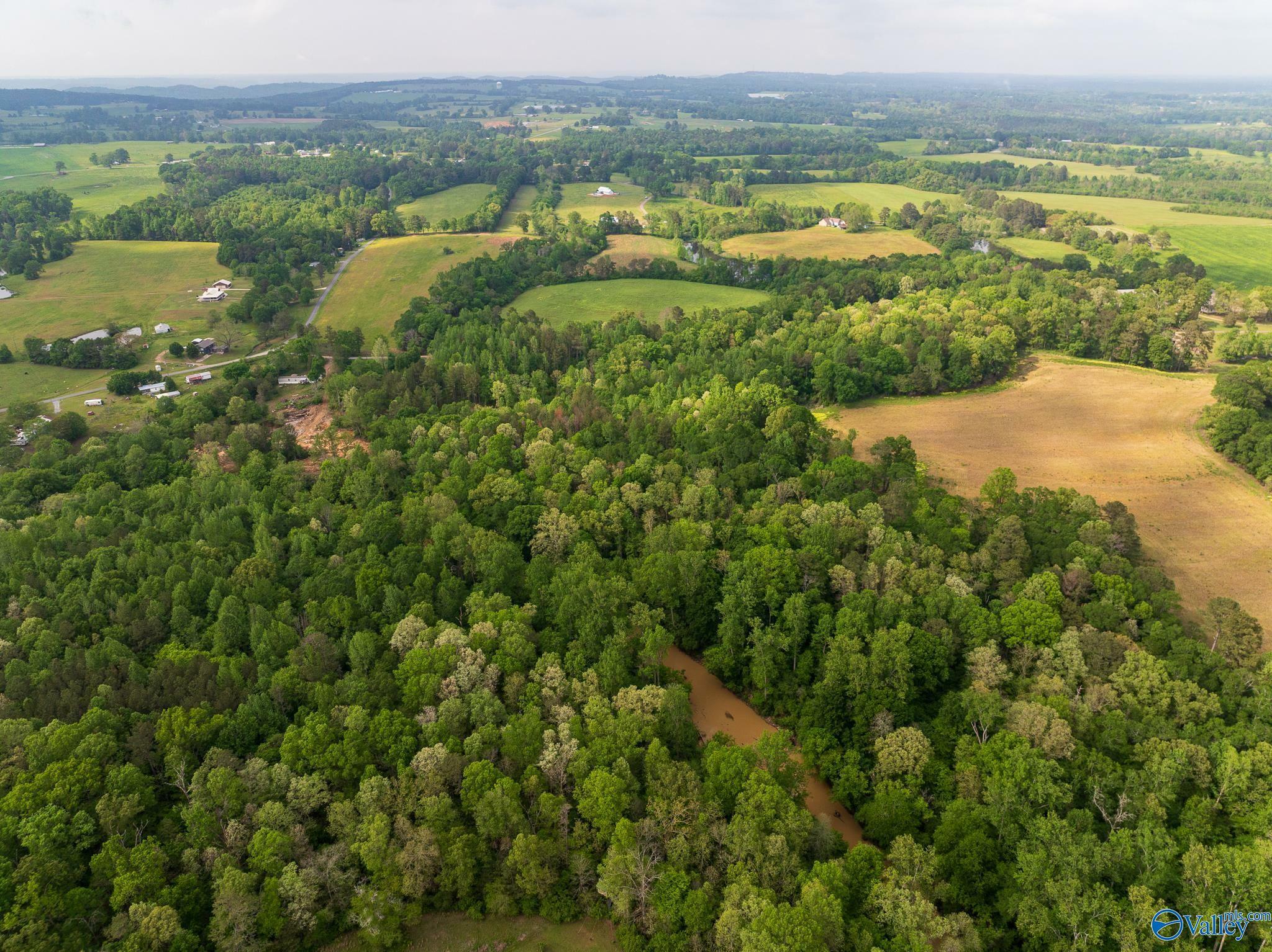 Property Photo: 9.10+ Acres Pleasant Grove Road AL 35980