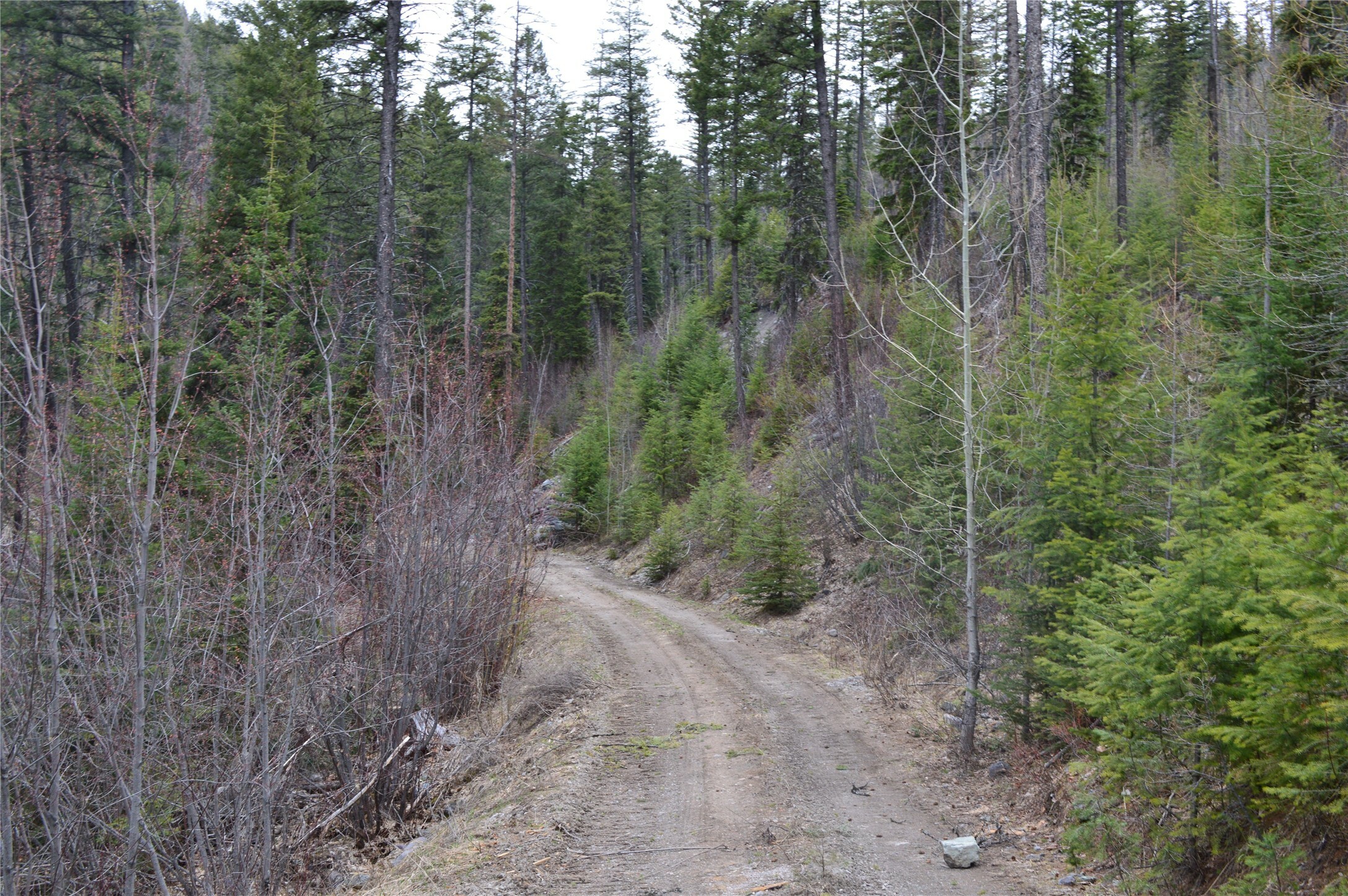 Property Photo: Nhn E Lakeshore Drive MT 59937