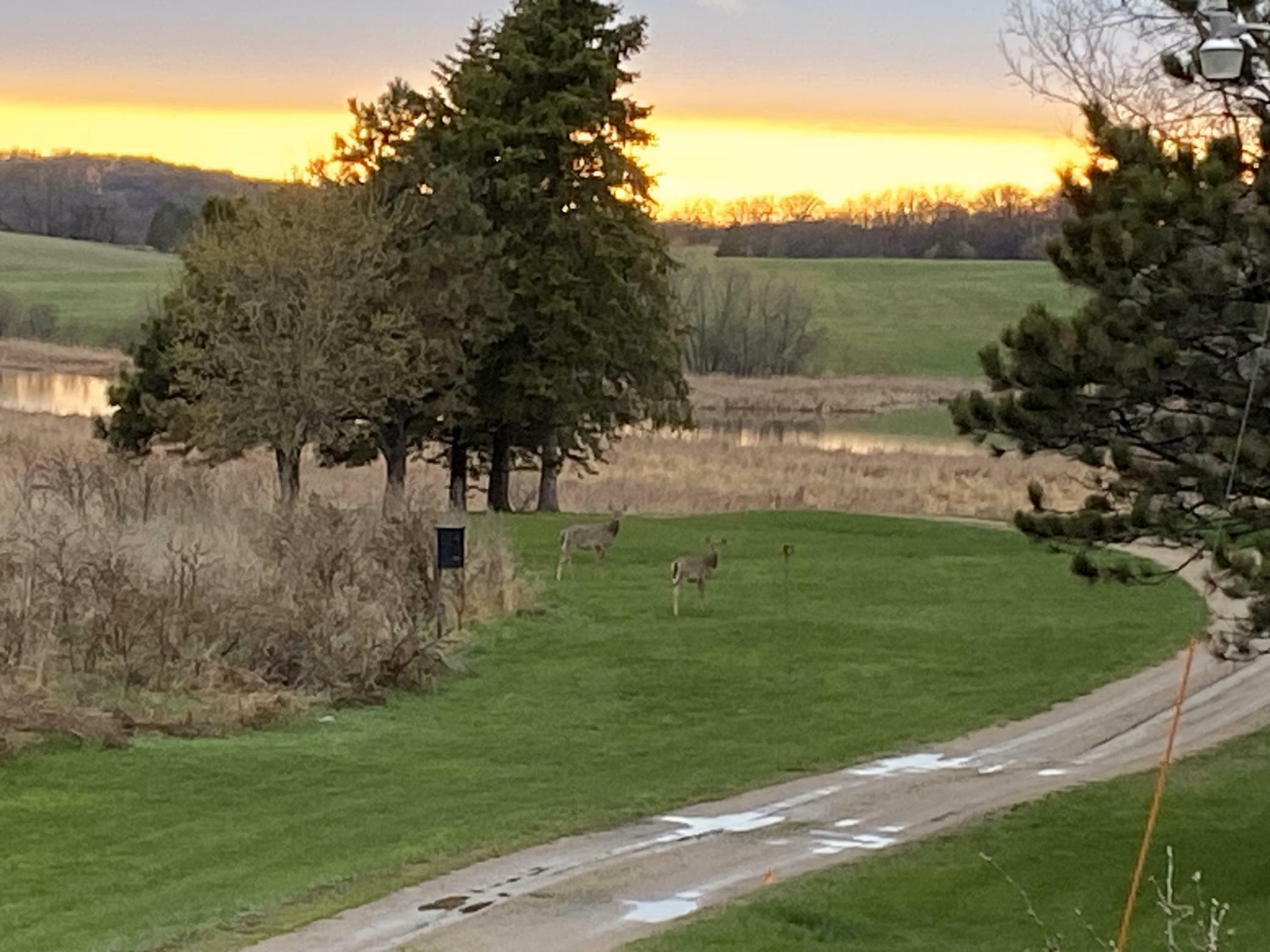 Property Photo: 37094 Twelve Lake Road MN 56534