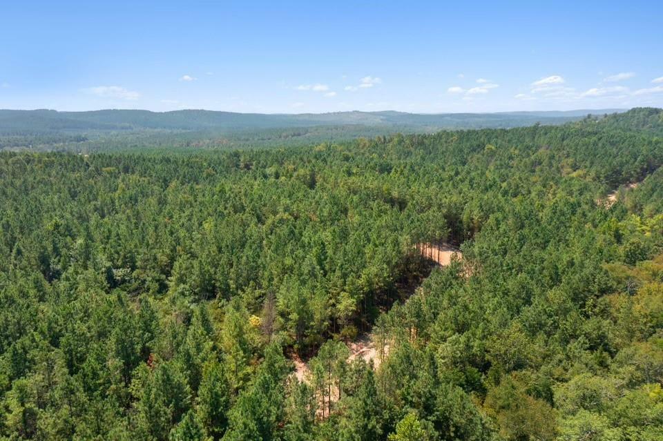 Property Photo: 310 Kaisley Blue Eye Way OK 74728