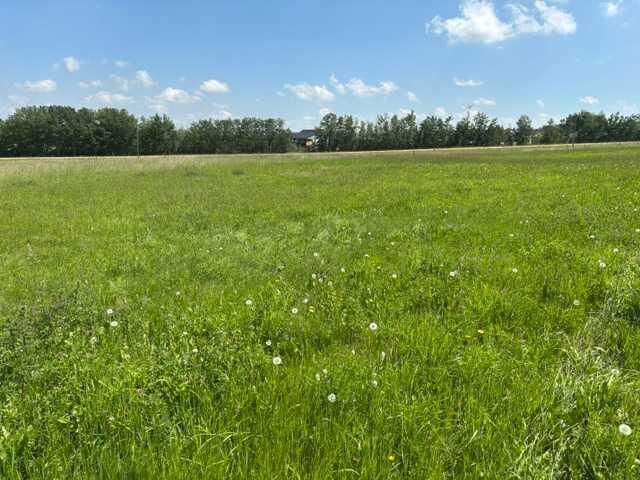 Property Photo: 140 Bruhn Boulevard AB T4N 4E7