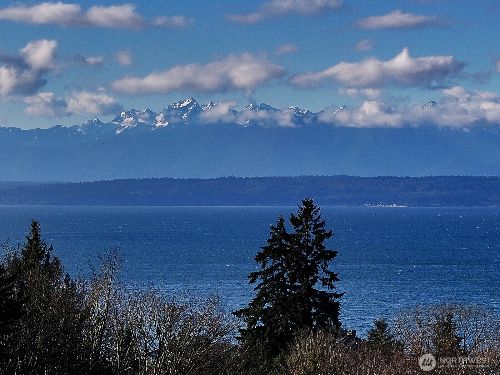 Property Photo: 1491 Olympic Heights Lane WA 98249