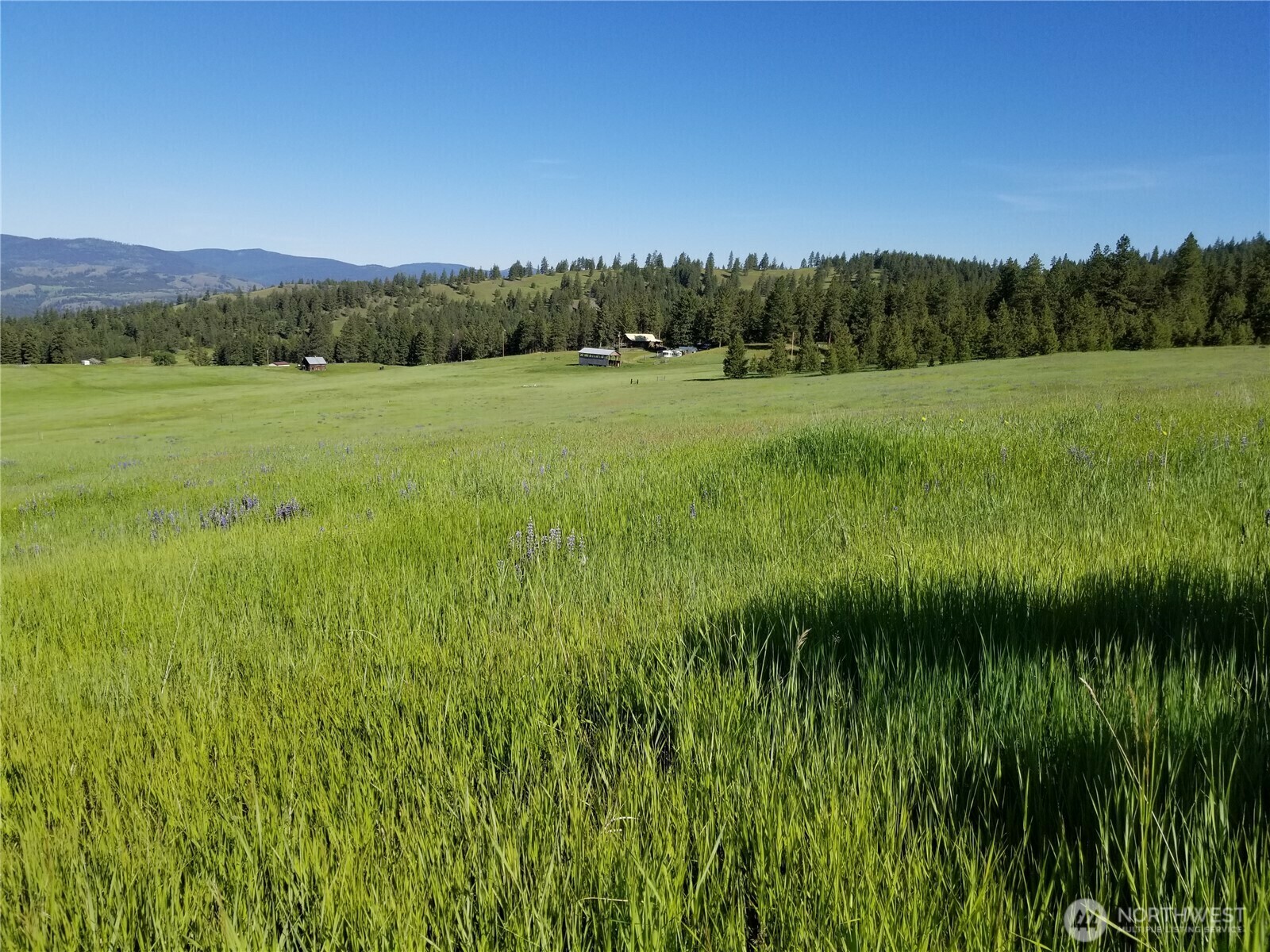 Property Photo: 49 Old Ranch House Road WA 99166