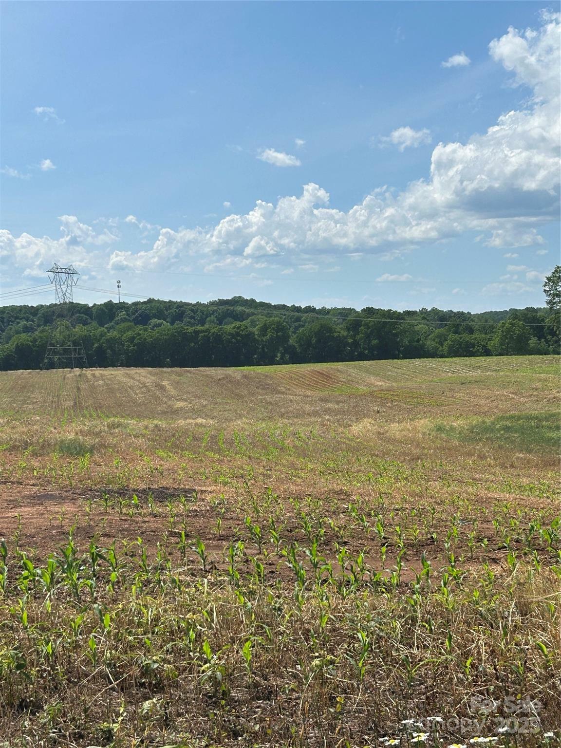 Property Photo:  000 Long Branch Road  NC 28147 