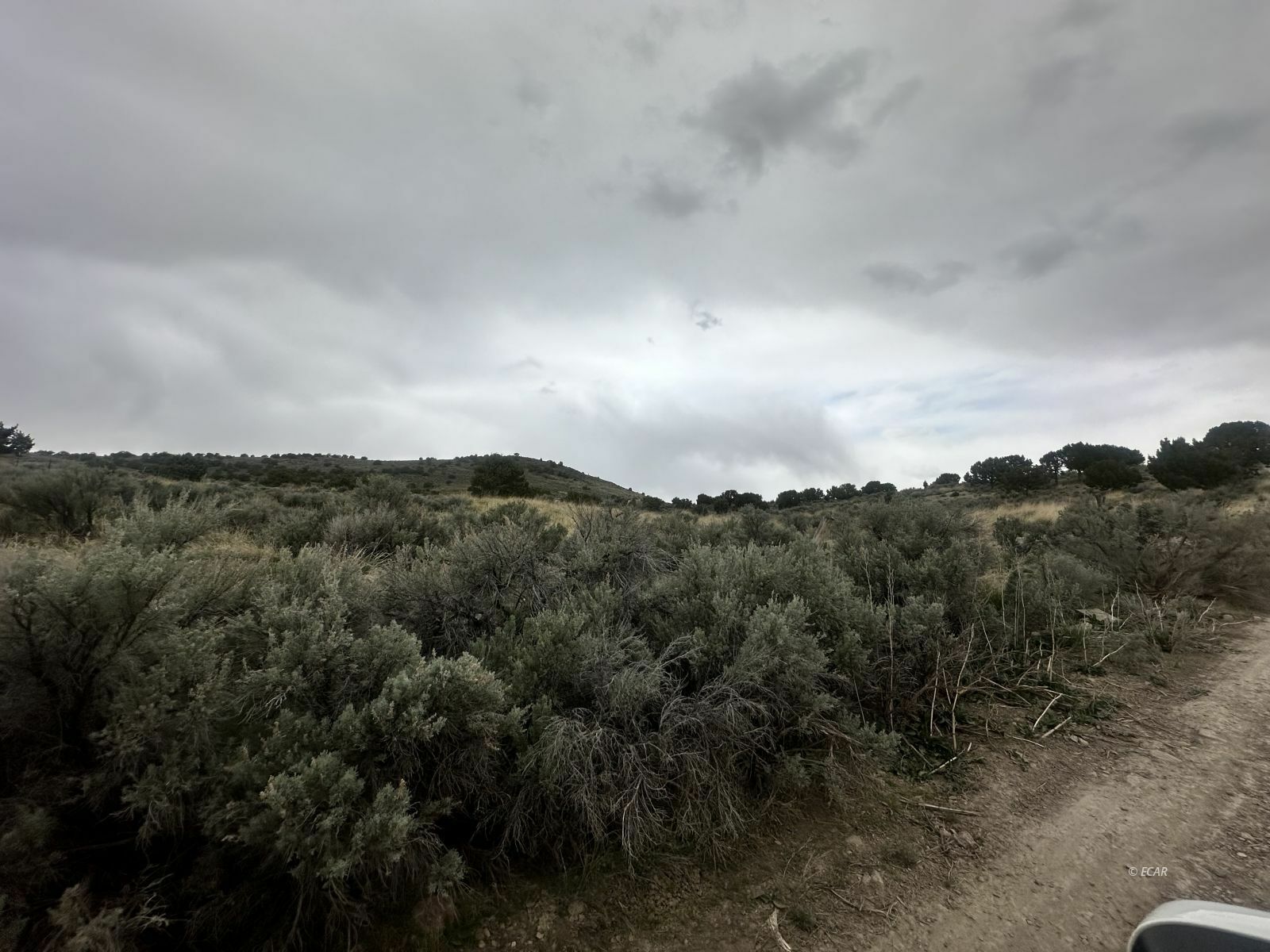 Property Photo: Tbd Lund Avenue NV 89801
