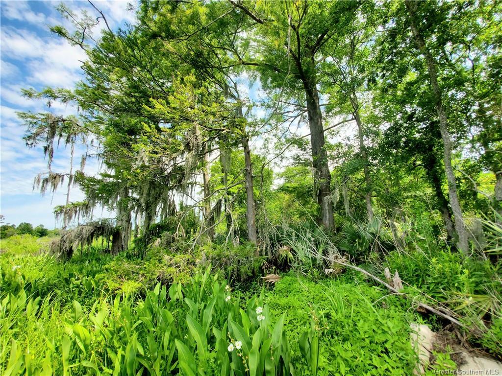 Property Photo: 0 Joan Street LA 70669