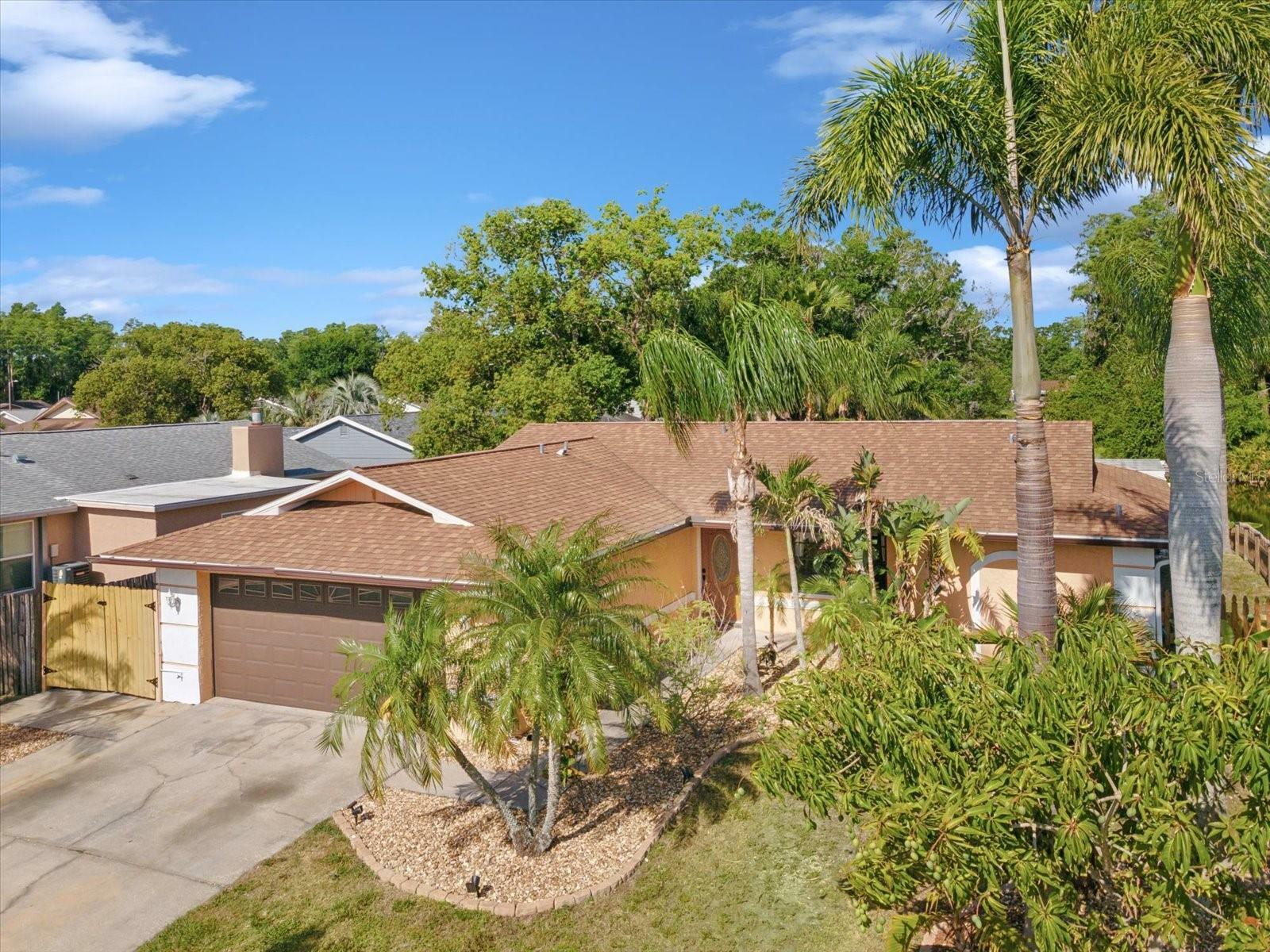 Property Photo: 4519 Swallowtail Drive FL 34653