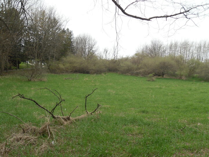 Property Photo:  S Lakeshore Drive S  MI 49431 