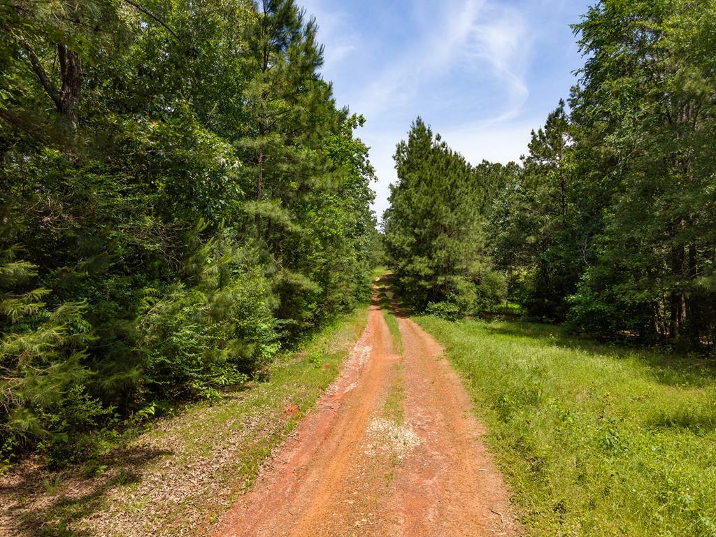 Property Photo:  Tbd Cr 864  TX 75760 