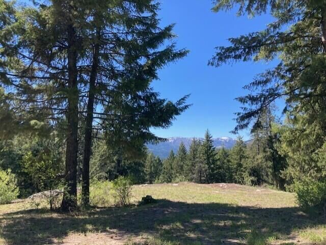 161 Jacknife Lookout Rd  Kettle Falls WA 99141 photo