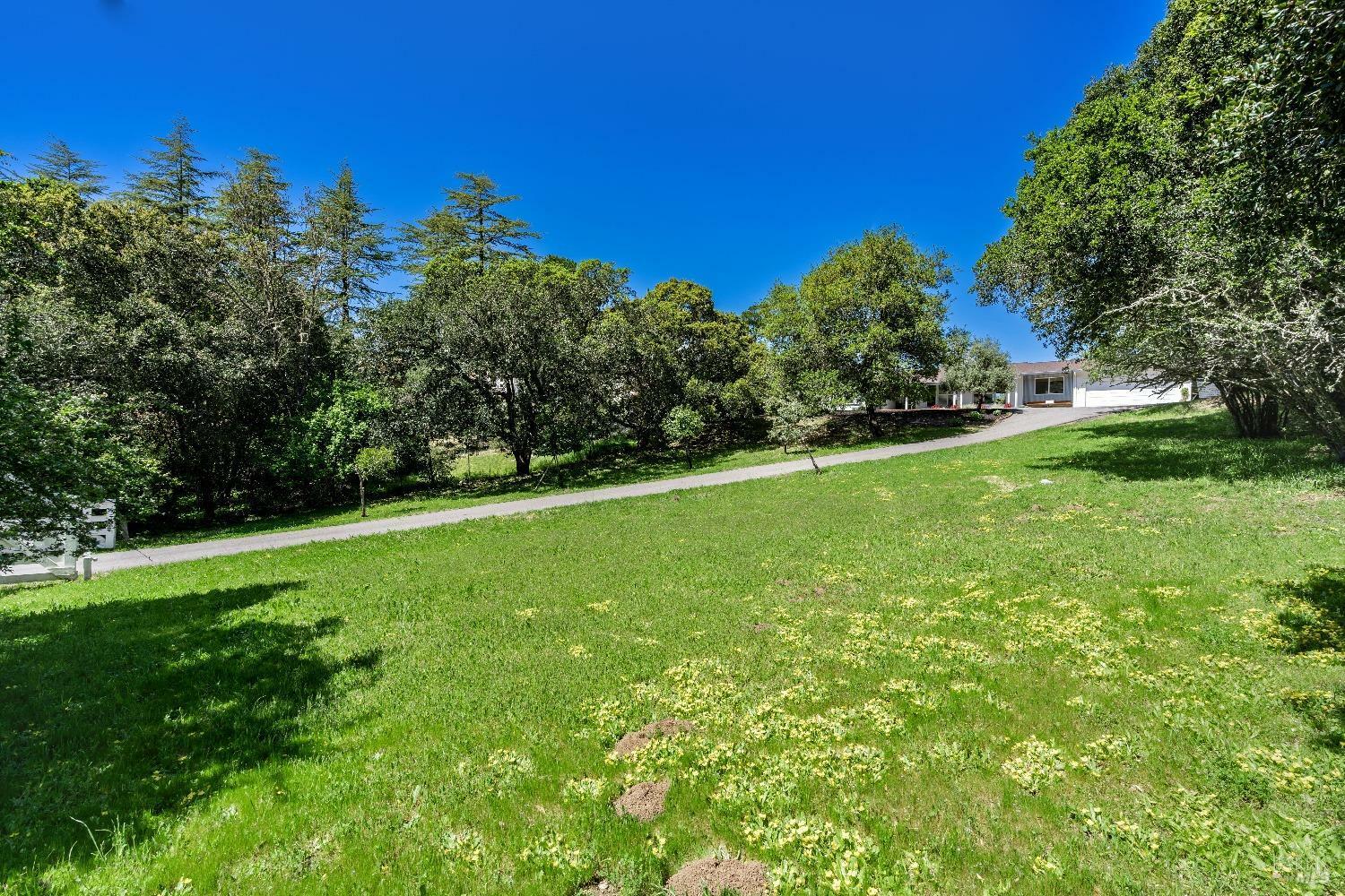 Property Photo: 139 Deer Hollow Road CA 94960