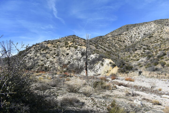 Property Photo:  20811 Pine Canyon Road  CA 93532 