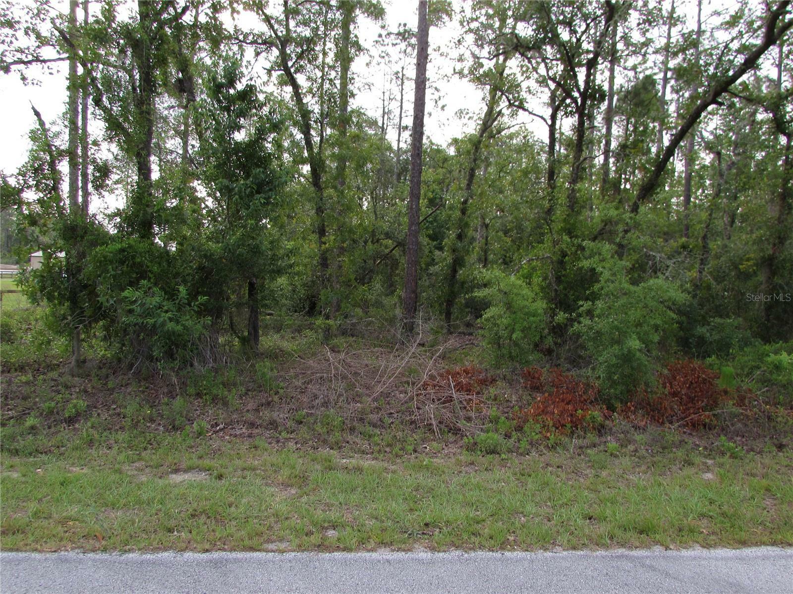 Property Photo: Lot 37 SW Hunter Hill Avenue FL 34431