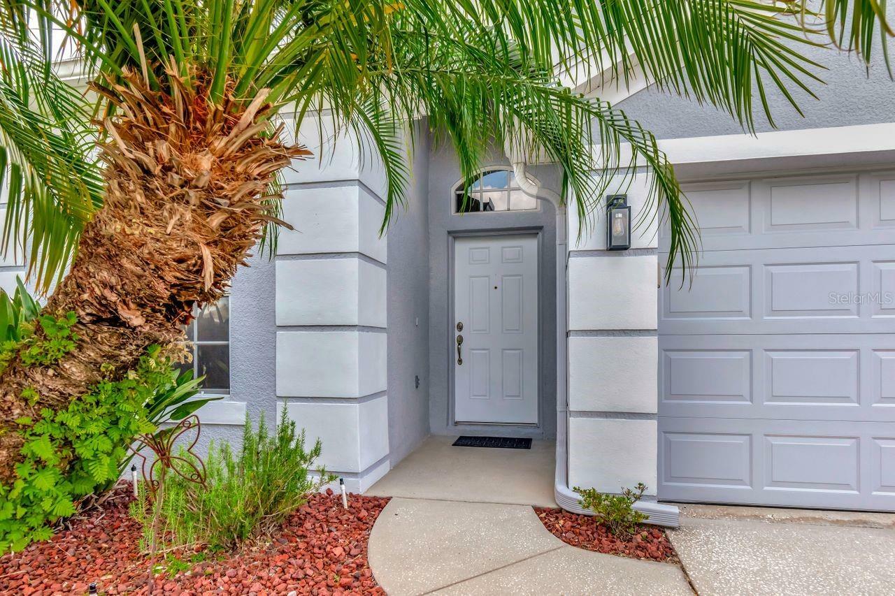 Property Photo: 2823 Banyan Hill Lane FL 34639