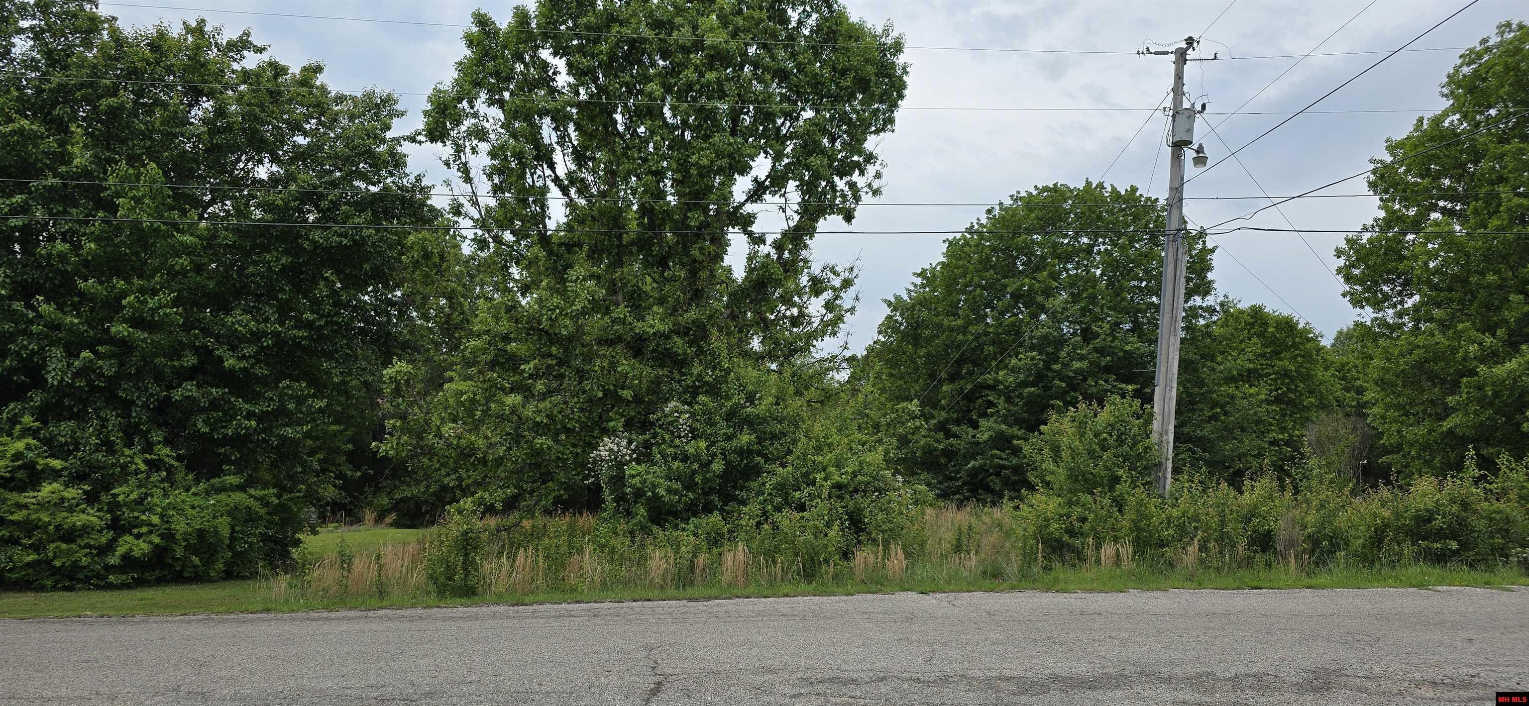 Property Photo: Lot 7 Sharon Drive AR 72653