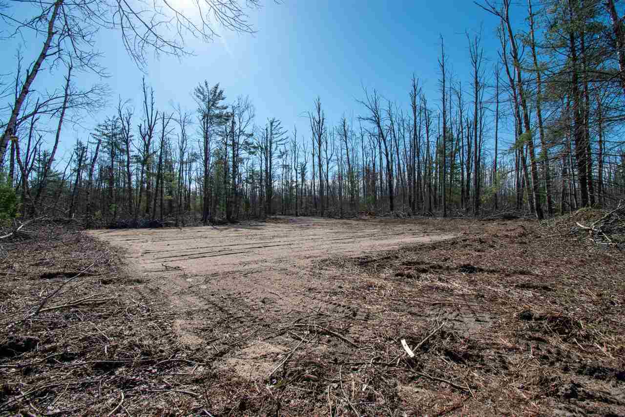 2400 Lone Pine  Gaylord MI 49735 photo