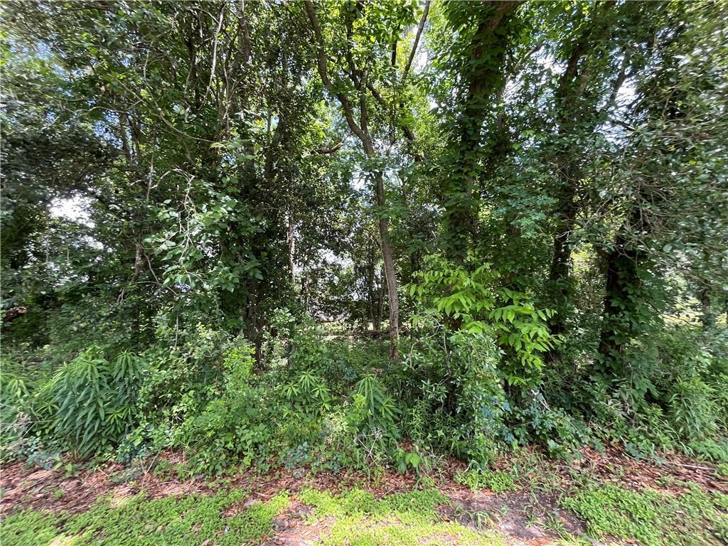 Property Photo: 119 Concession Street LA 70037