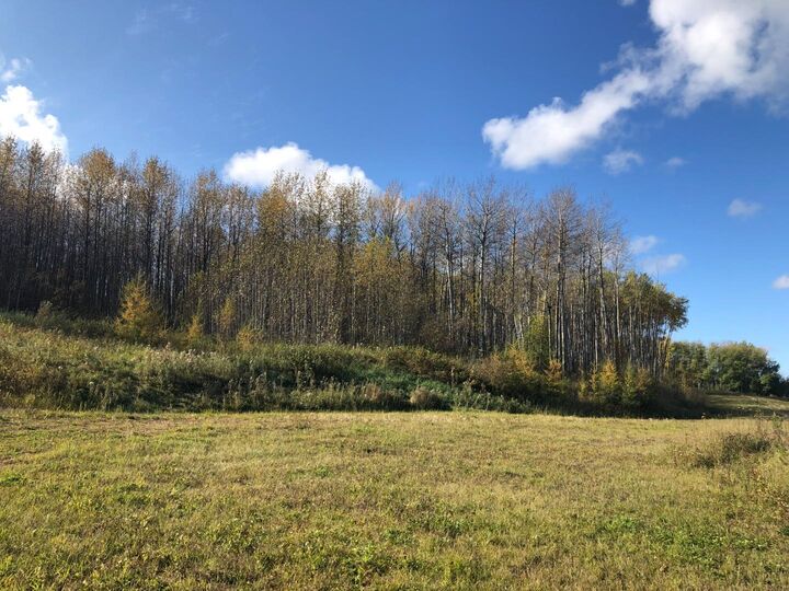16326 Twp Rd 675 115 — photo 1