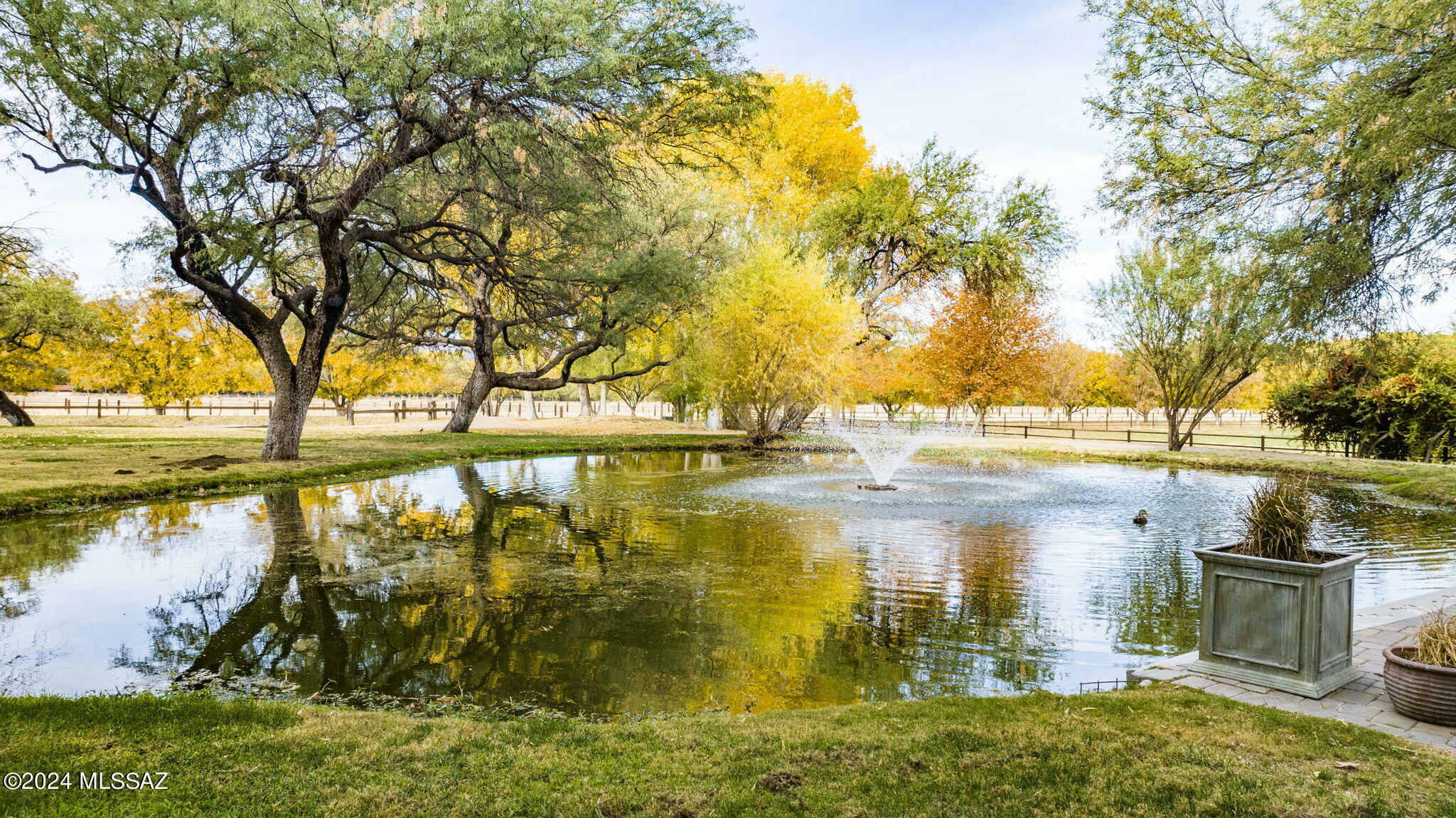 Property Photo: 45 Clark Crossing Road AZ 85646