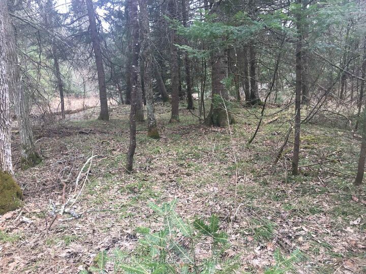 Property Photo:  0 Pt Lt 13 Con 8 Road  ON K0L 1A0 