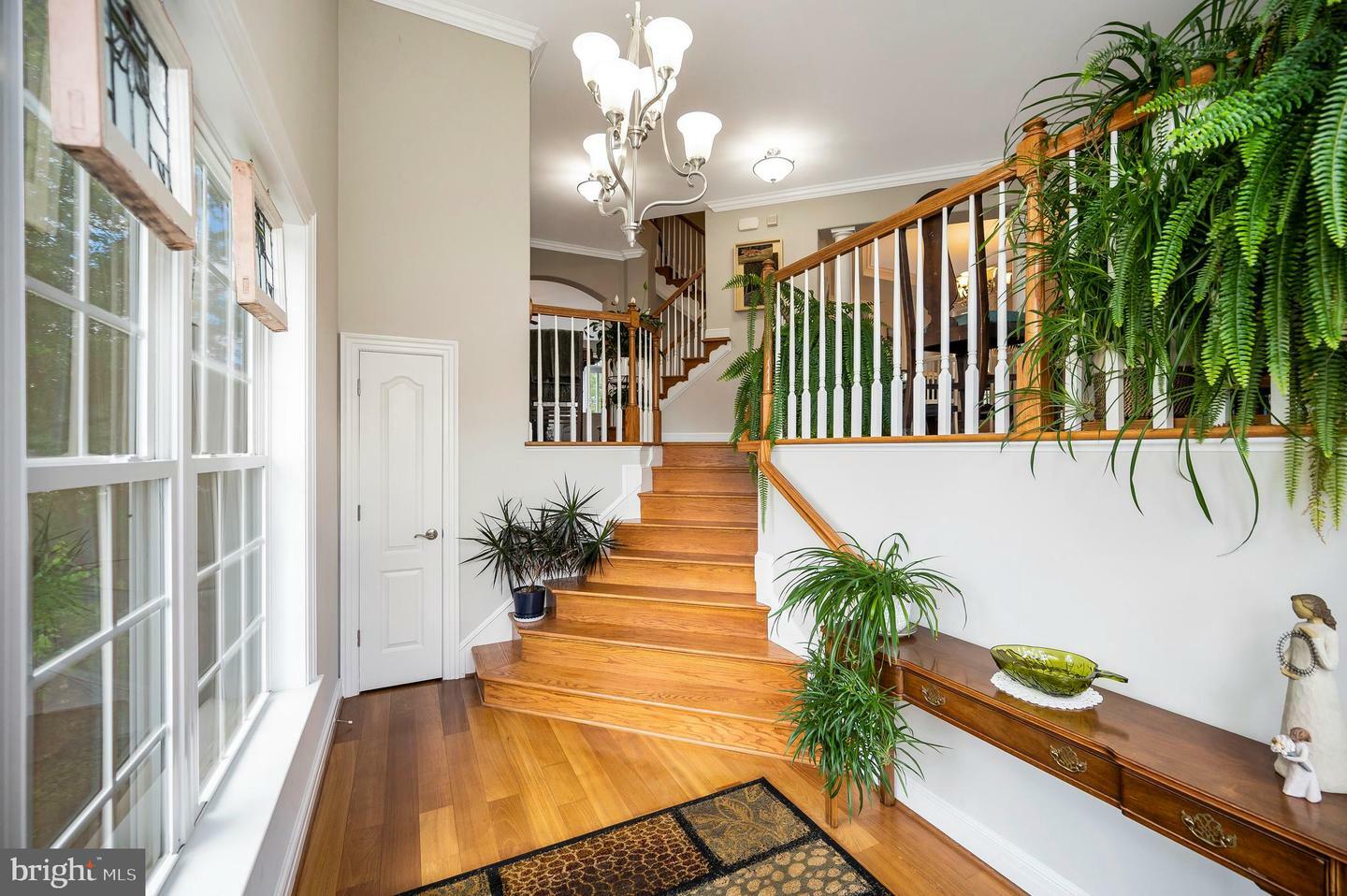 Property Photo: 1413 Payne Street VA 22401