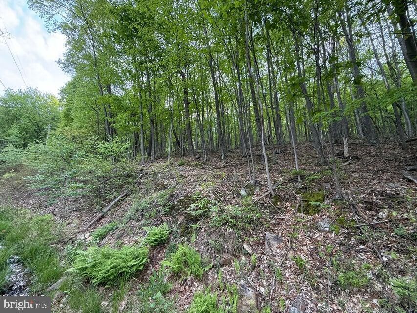 Property Photo:  0 Cherry Run Road  PA 15522 