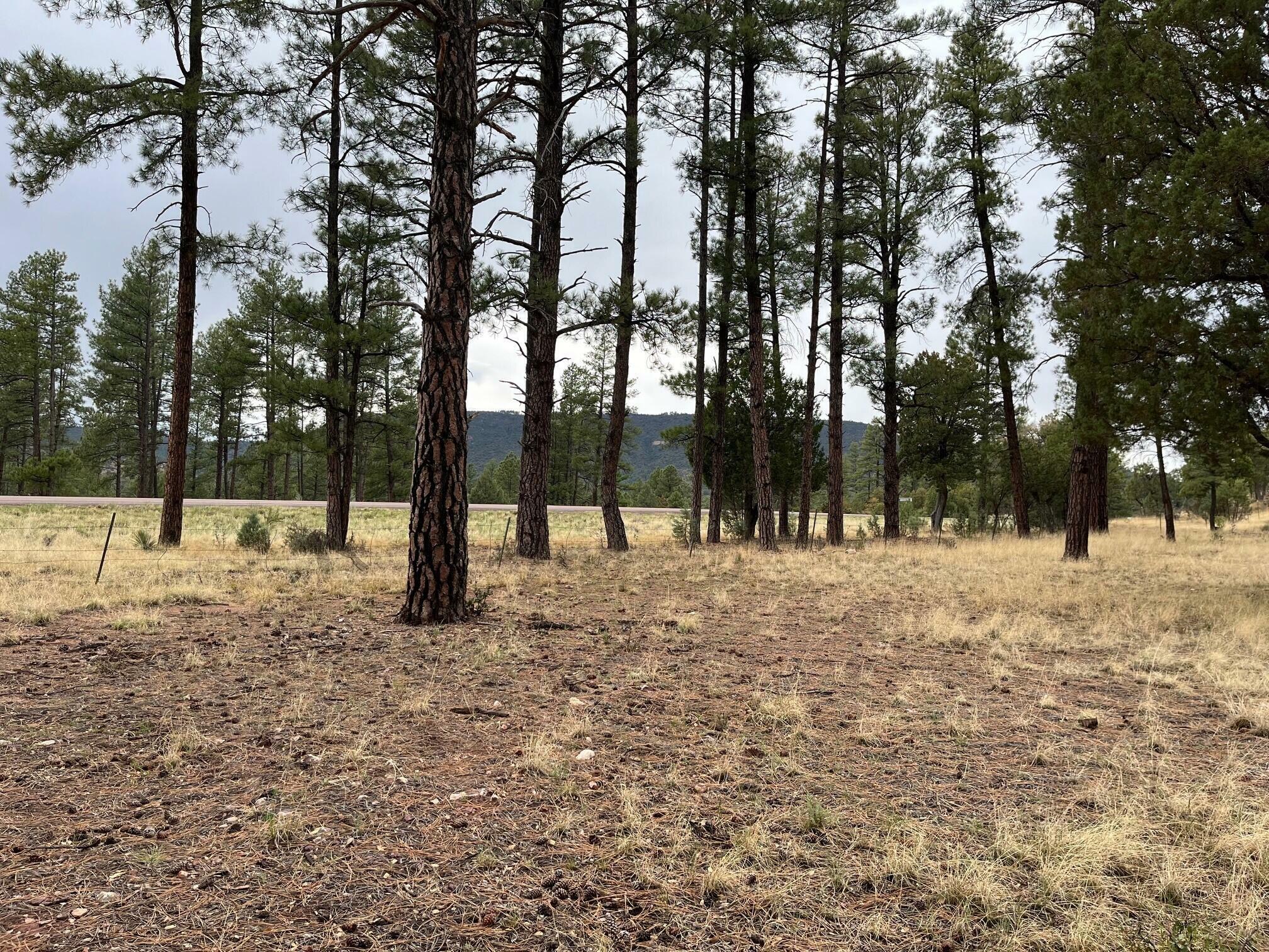 Property Photo: Tbd N State Route 87 AZ 85544