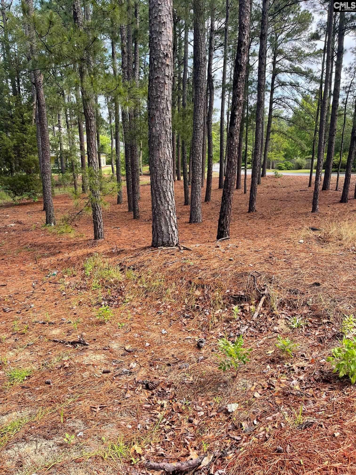 Property Photo:  2233 Bee Ridge  SC 29223 