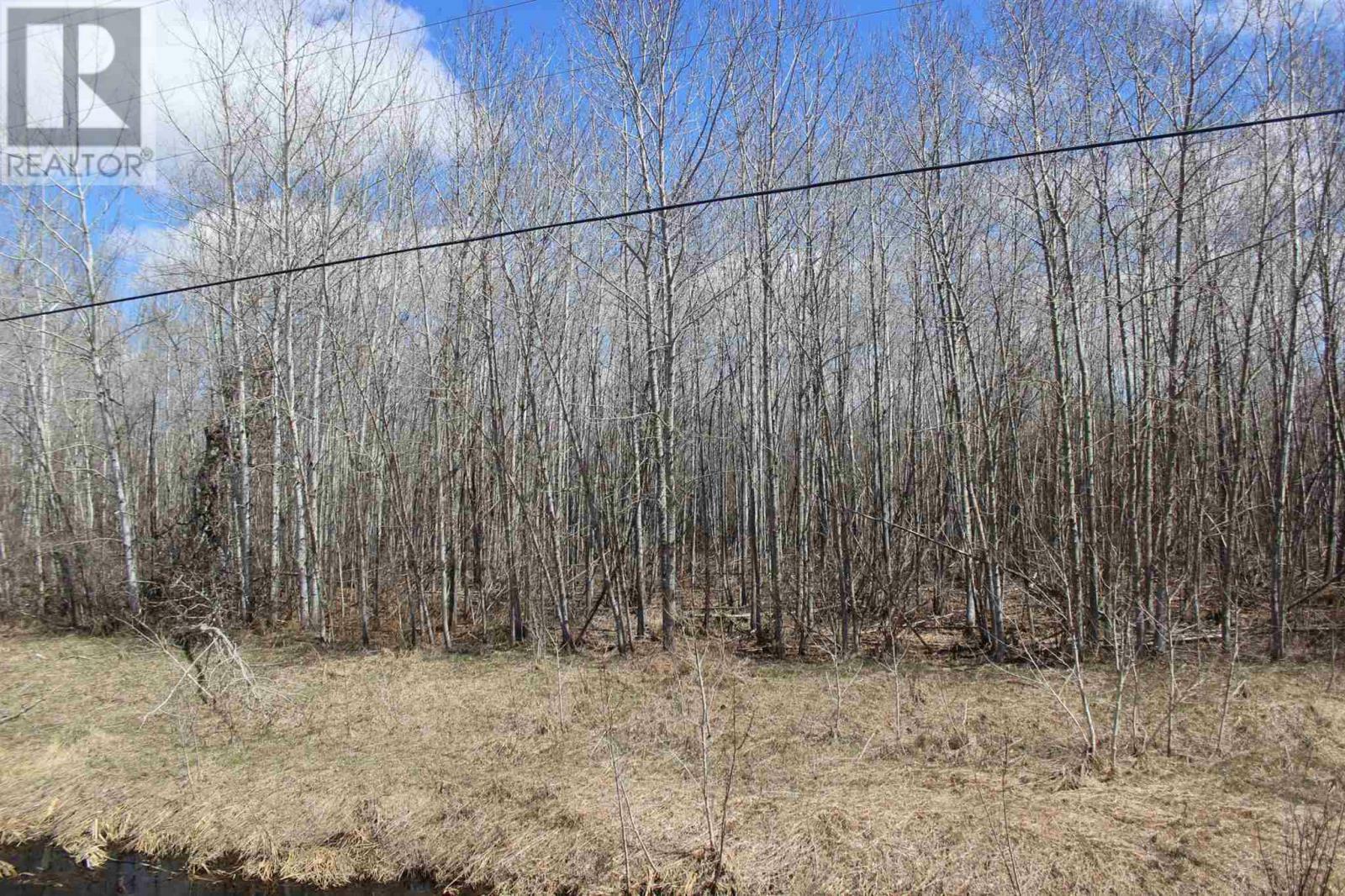 Pcl 9863 Hwy 621  Rainy River ON P0W 1L0 photo