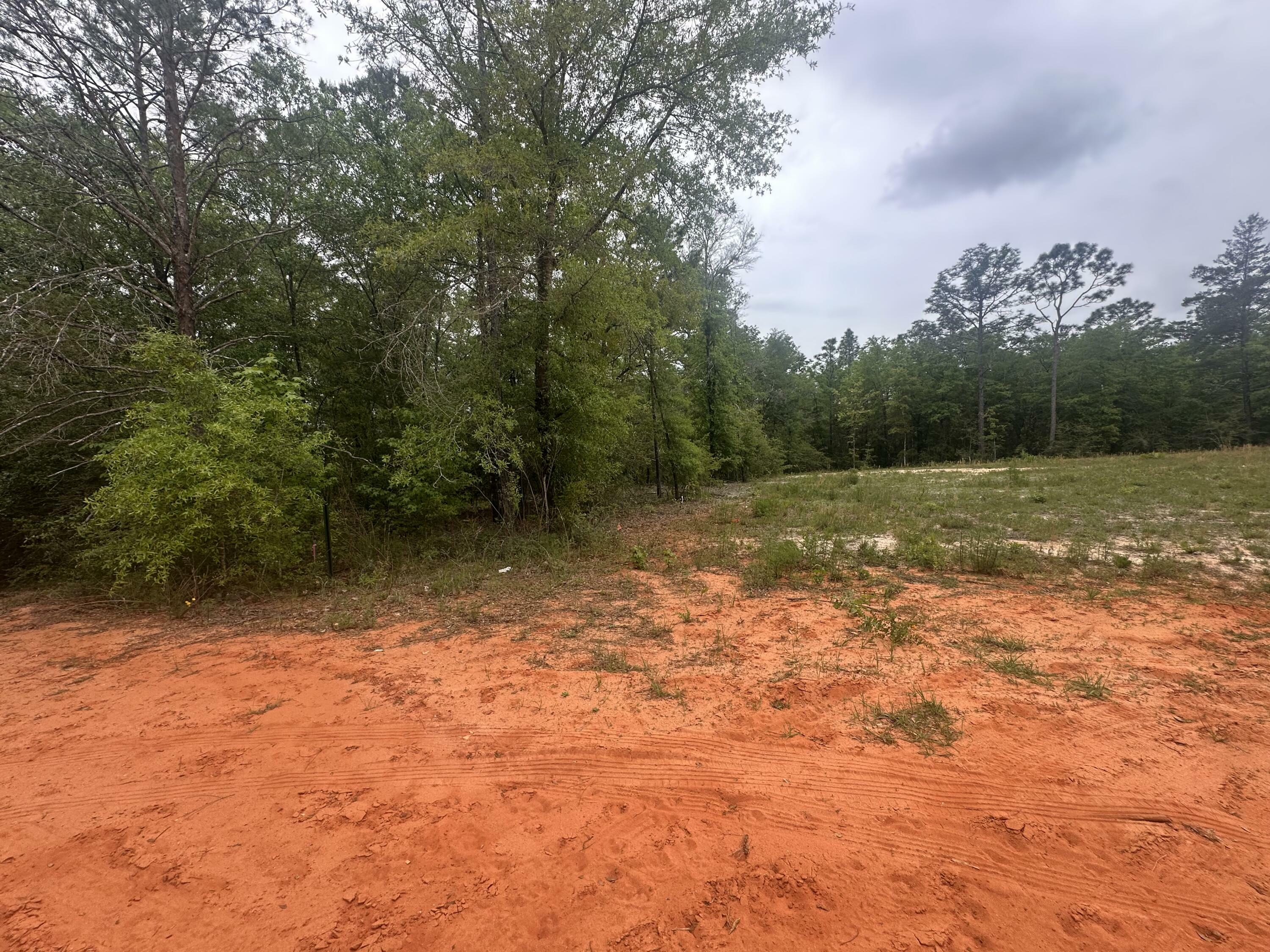 Property Photo: Lot 20&21 E Orange Blossom Avenue FL 32433