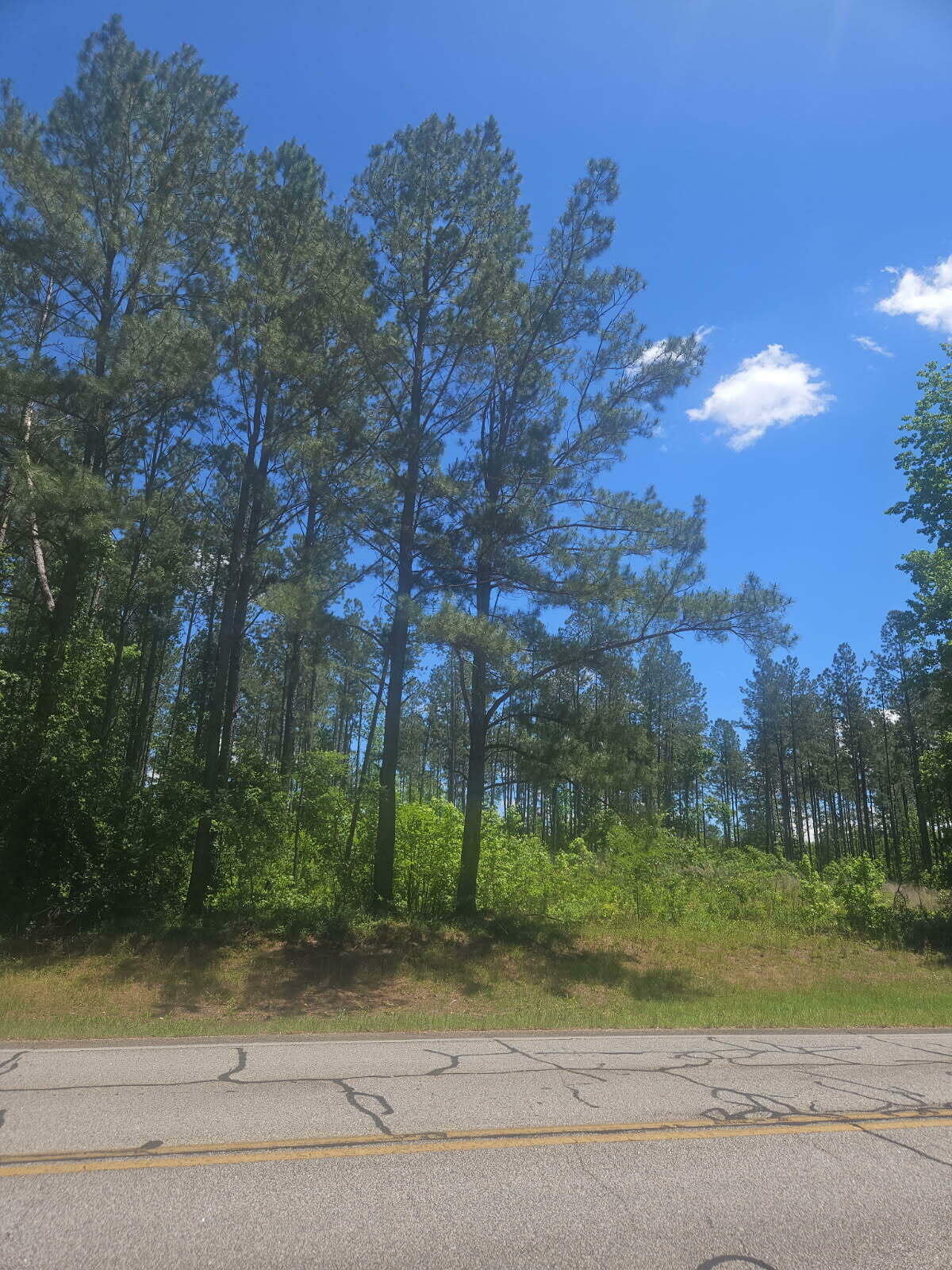 Property Photo: Lot 4 Ga Highway 123 GA 30820