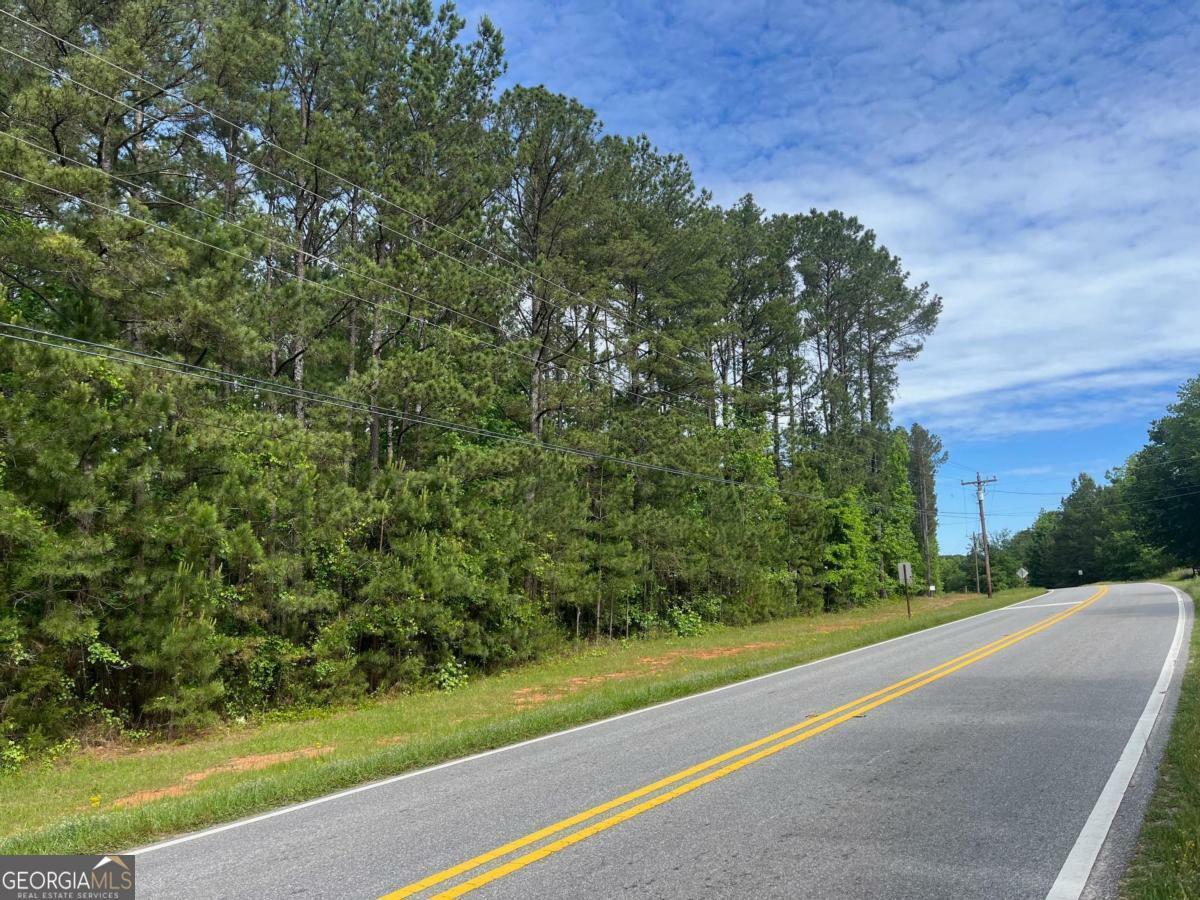 Property Photo: 3.5 +/- Acres New Phoenix Road GA 31024