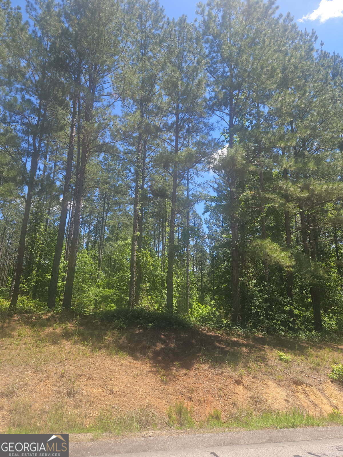 Property Photo: Lot #8 Highway 123 GA 30820