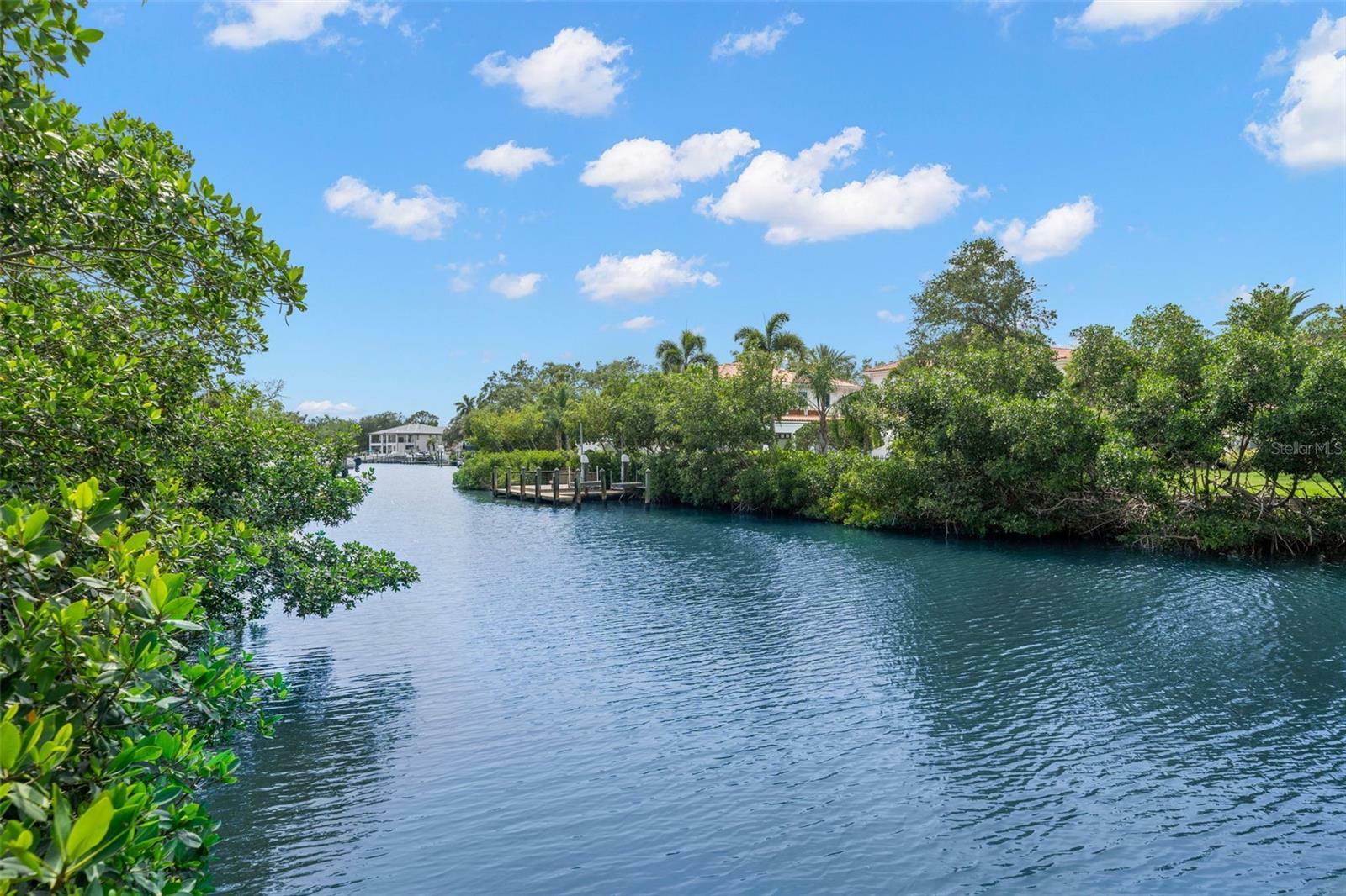 Property Photo: 419 S Shore Crest Drive FL 33609