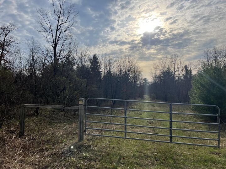 11500 N Willow Avenue  Bitely MI 49309 photo