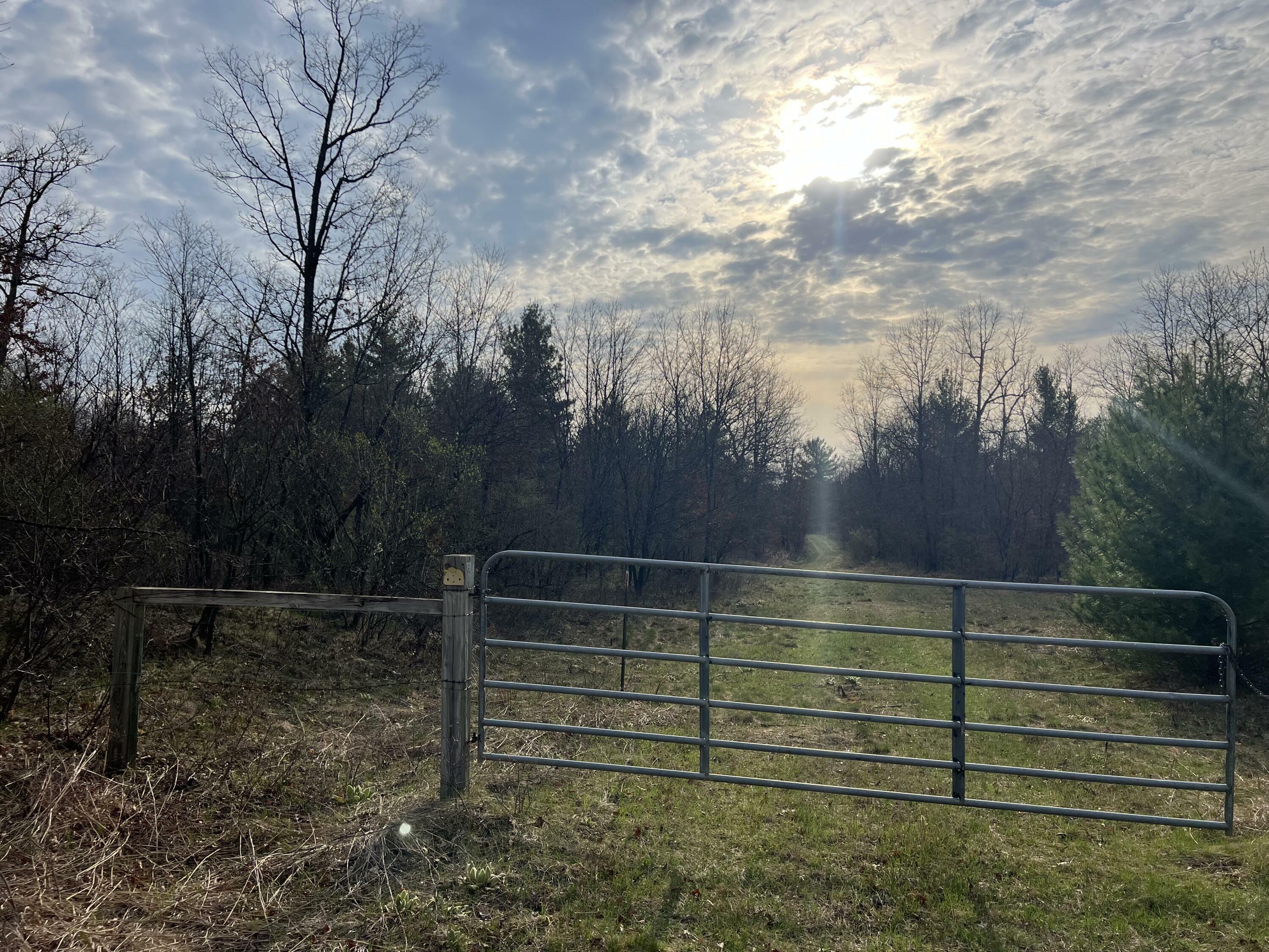 Property Photo:  11500 N Willow Avenue  MI 49309 