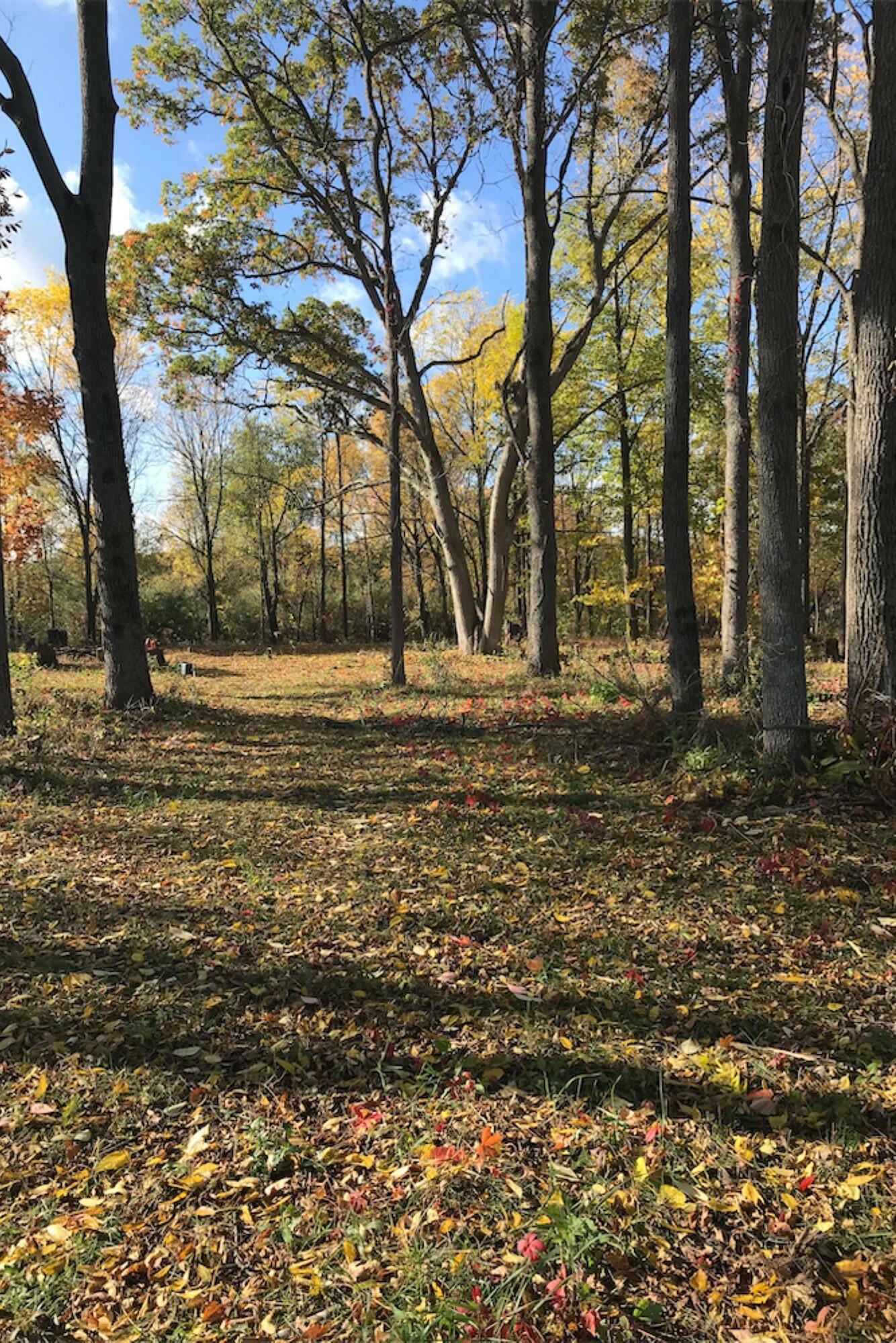 Property Photo: 4127 Carriage Hill Drive MI 48455