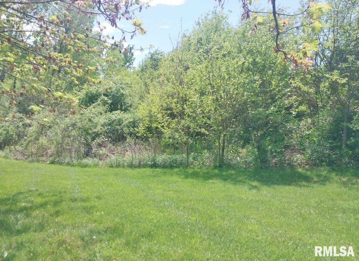 53 Hidden Court  Dahinda IL 61428 photo