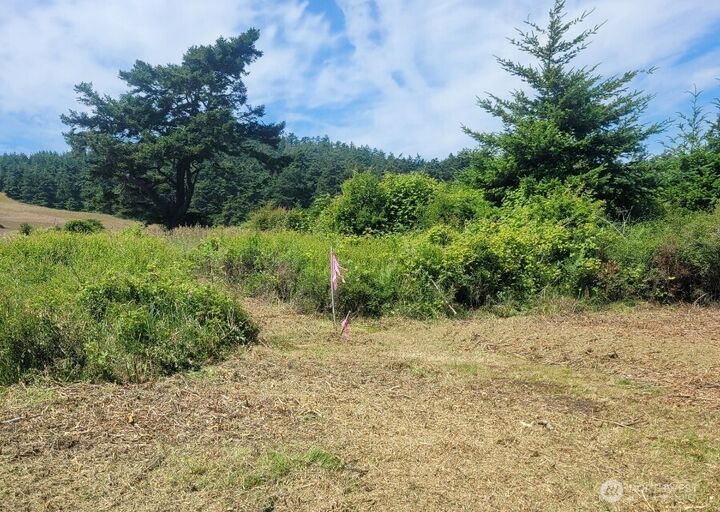 Property Photo: 97 Meadow Lane WA 98250
