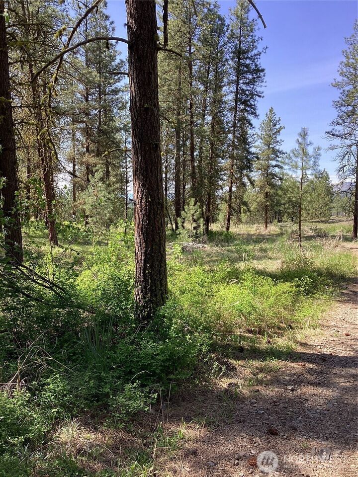 Property Photo:  19  Lot, Doe Lane  WA 98855 